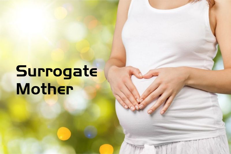 ���ǳ�Ϊ�������������������20����������